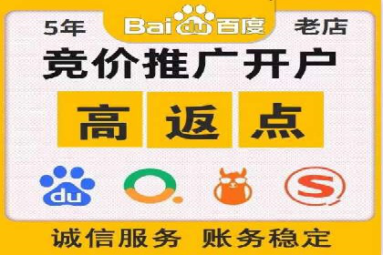 百度优化推广案例剖析：某电商平台的成功之路